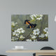 Redstart Dogwood Wall Decal