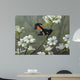 Redstart Dogwood Wall Decal