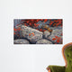 Autumn Playground Eastern Chipmunk Wall Decal