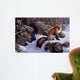 Mid Winter Pause Red Wall Decal