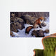 Mid Winter Pause Red Wall Decal