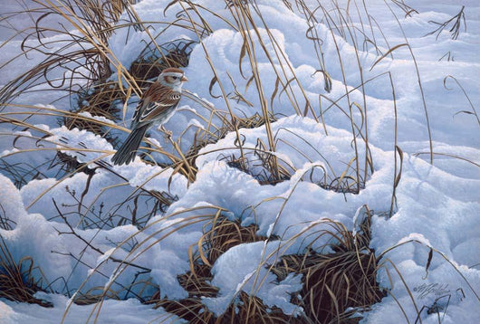 Snow Glow Field Sparrows Wall Decal