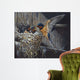 Country Living Barn Swallows Wall Decal