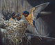 Country Living Barn Swallows Wall Decal