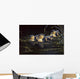 Mallard Ducklings Wall Decal