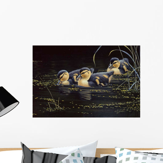 Mallard Ducklings Wall Decal