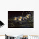 Mallard Ducklings Wall Decal