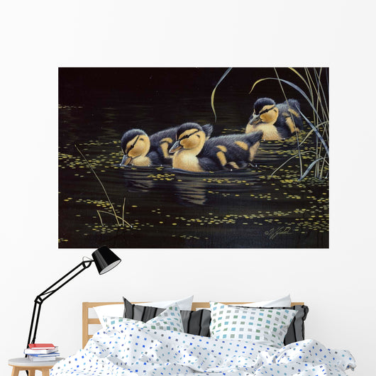 Mallard Ducklings Wall Decal