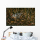 Woodcock among Leaves Wall Decal
