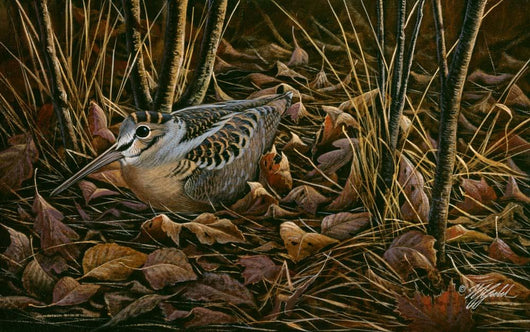 Woodcock among Leaves Wall Decal