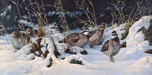 Winter Covey Quail Wall Decal