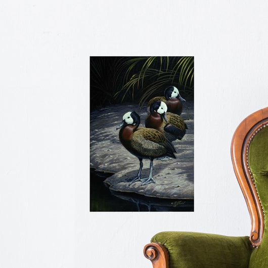 White Faced Whistling Ducks Wall Decal
