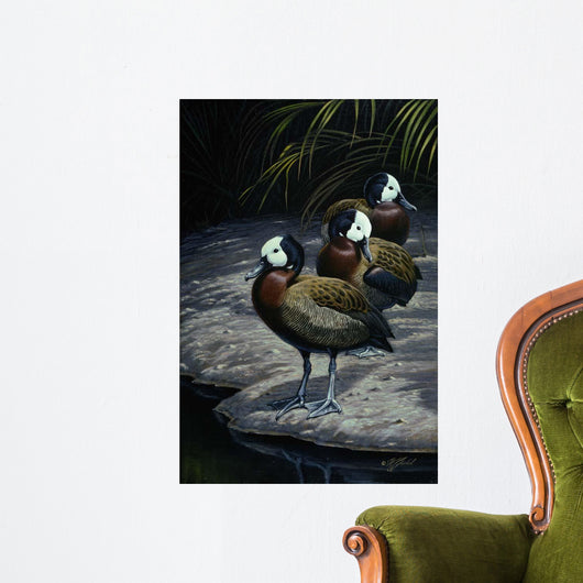 White Faced Whistling Ducks Wall Decal