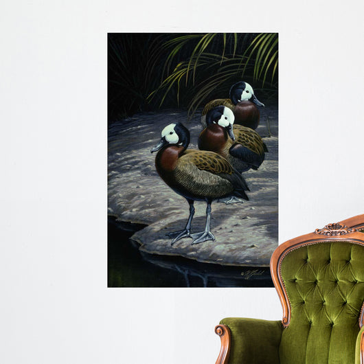 White Faced Whistling Ducks Wall Decal