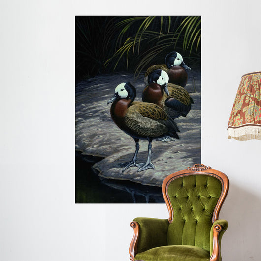 White Faced Whistling Ducks Wall Decal
