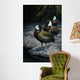 White Faced Whistling Ducks Wall Decal