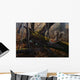 Thunder Woods Wall Decal