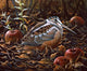 Orchard Woodcock Wall Decal