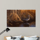 Evening Light Snipe Wall Decal