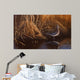 Evening Light Snipe Wall Decal