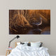Evening Light Snipe Wall Decal