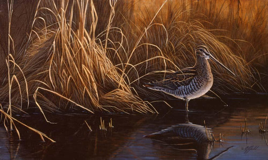 Evening Light Snipe Wall Decal