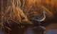 Evening Light Snipe Wall Decal