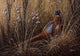 Pheasant Grass 2 Wall Decal