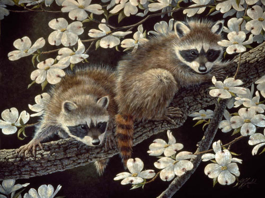 Dogwood Hideout Young Raccoons Wall Decal