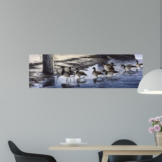 Brant Coming Ashore Wall Decal