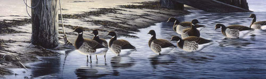 Brant Coming Ashore Wall Decal