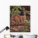 May Display Ruffed Grouse Wall Decal