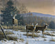 Prime Time - Whitetail Deer Wall Mural