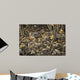 Early Brood Woodcock Young Wall Decal