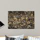 Early Brood Woodcock Young Wall Decal