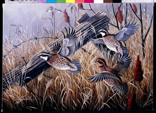 Corner Post Covey Bobwhite Wall Decal