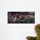 Ringneck Rendezvous Wall Decal