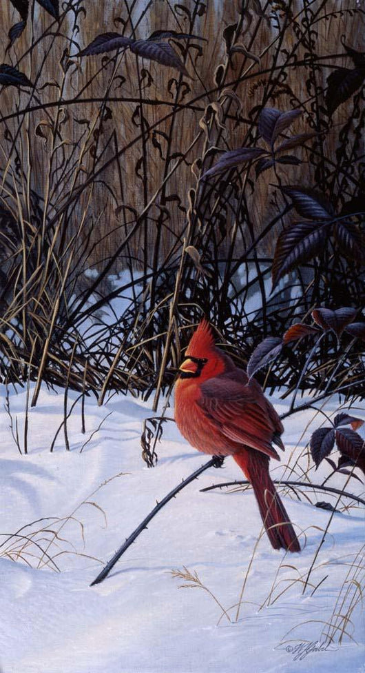 Roadside Cardinal Wall Decal