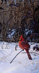 Roadside Cardinal Wall Decal