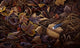 Colors Autumn Wall Decal