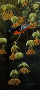 Forest Flame Baltimore Oriole Wall Decal