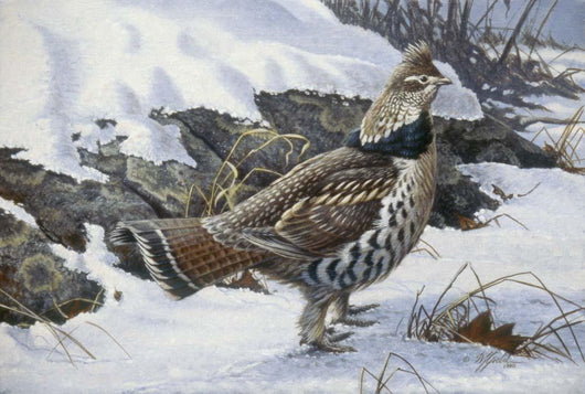 Ruffed Grouse Wall Decal