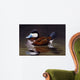 Ruddy Duck Wall Decal
