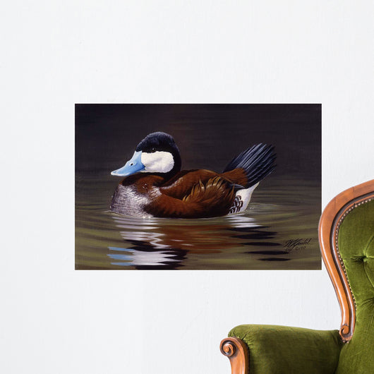 Ruddy Duck Wall Decal