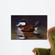 Ruddy Duck Wall Decal
