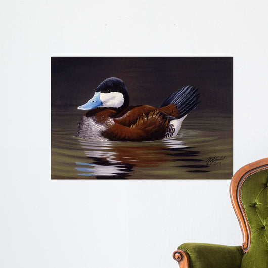 Ruddy Duck Wall Decal