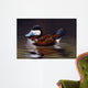 Ruddy Duck Wall Decal