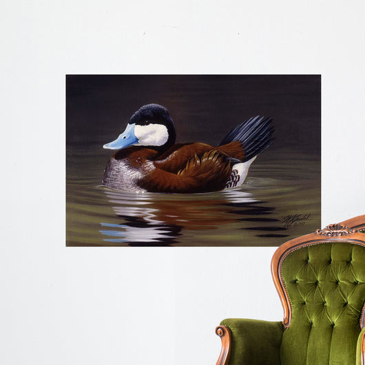 Ruddy Duck Wall Decal