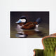 Ruddy Duck Wall Decal