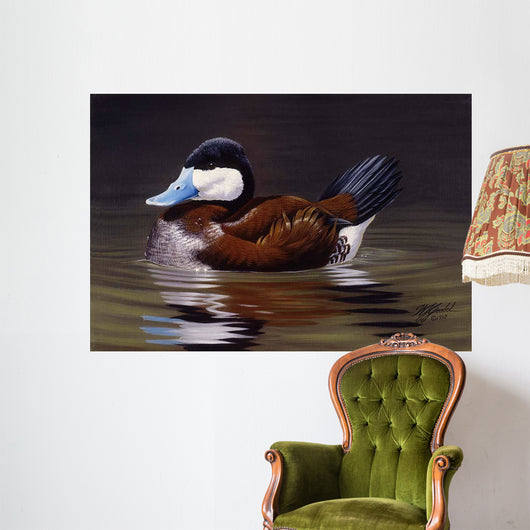 Ruddy Duck Wall Decal